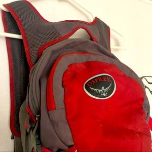 Osprey day pack